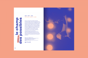 Nuits de la Mayenne 2021 programme