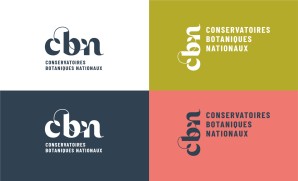 CBN logos