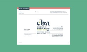 CBN charte graphique