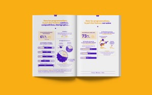 HF Bretagne - diagnostic